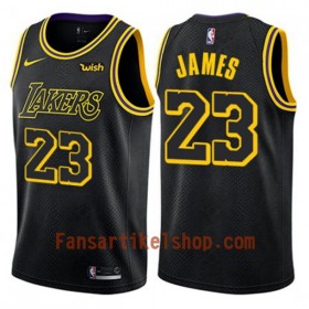 NBA Los Angeles Lakers Trikot LeBron James 23 Nike City Edition Swingman - Herren